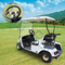 Golf Cart Racing Woodgrain Steering Wheel For Club Car, EZGO, And Yamaha